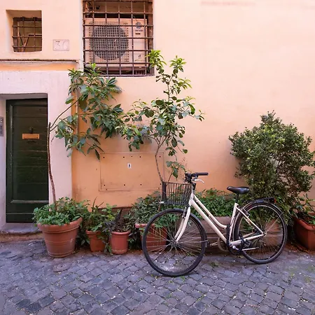 Trastevering In Apartment